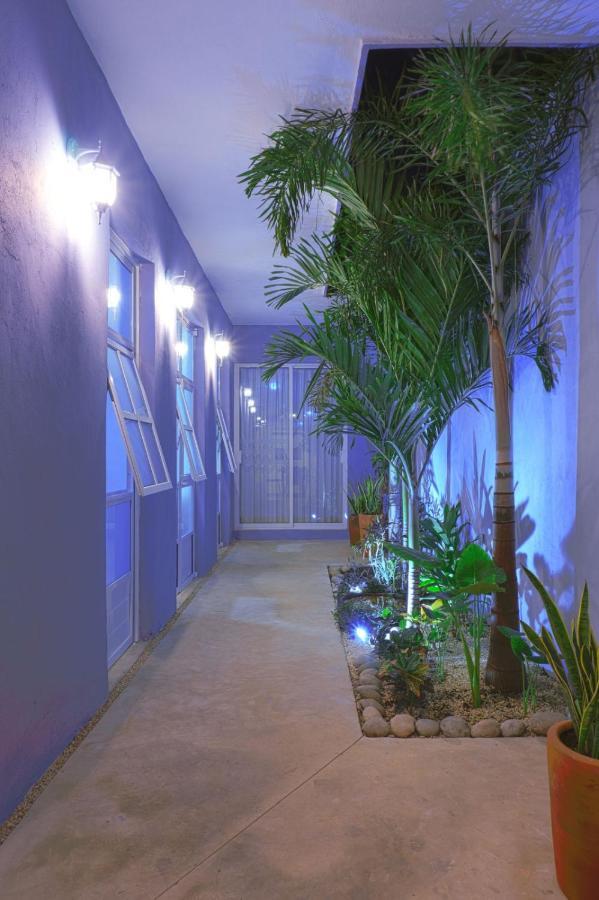 Вилла Casa Violeta Мерида Экстерьер фото